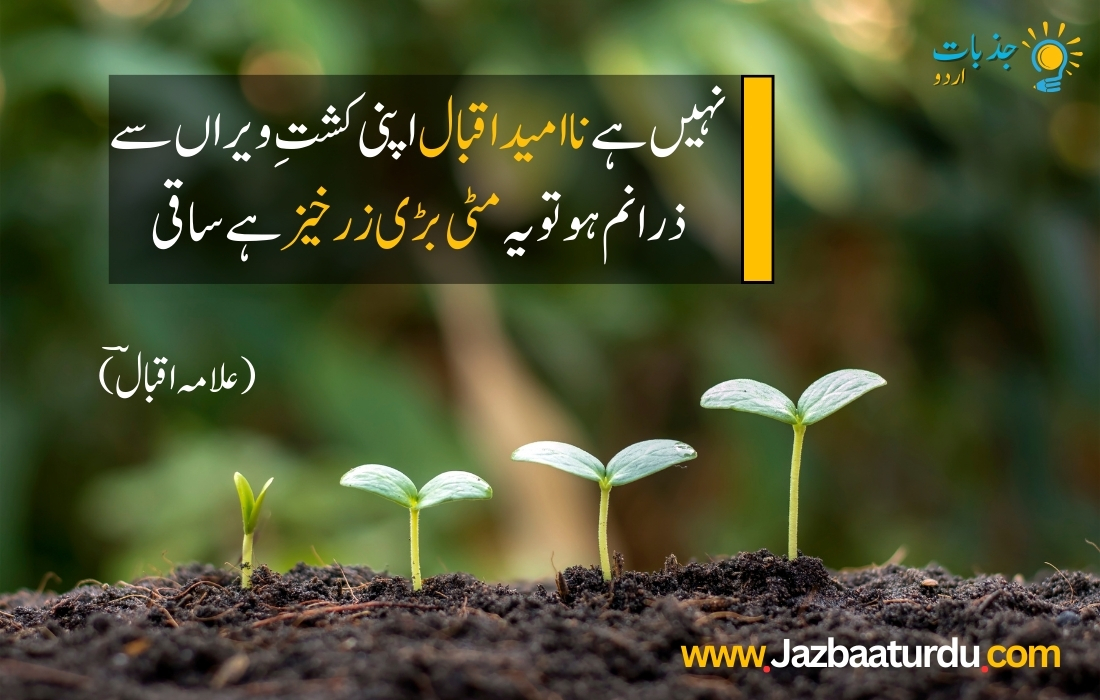 Allama Iqbal Quotes in Urdu